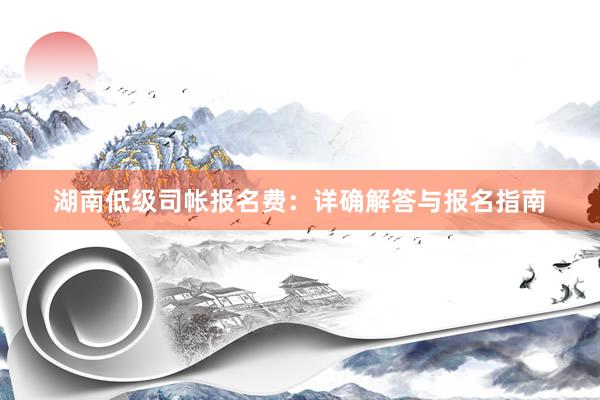 湖南低级司帐报名费：详确解答与报名指南
