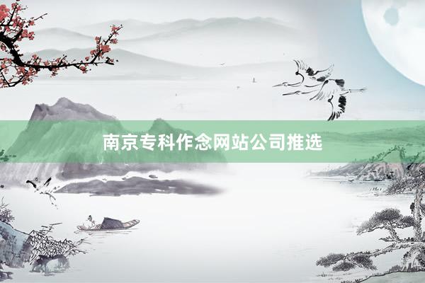 南京专科作念网站公司推选