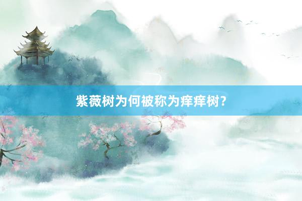 紫薇树为何被称为痒痒树？